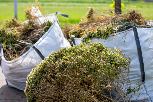 Best Dumpster Rental Services  in Wauconda, IL